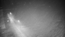 Příjezdová cesta k zámku