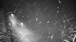 Příjezdová cesta k zámku