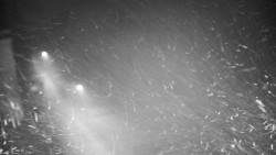 Příjezdová cesta k zámku