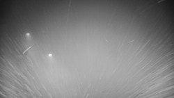 Příjezdová cesta k zámku