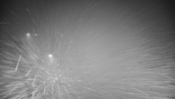 Příjezdová cesta k zámku