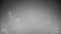 Příjezdová cesta k zámku