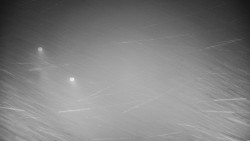 Příjezdová cesta k zámku