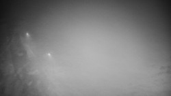 Příjezdová cesta k zámku