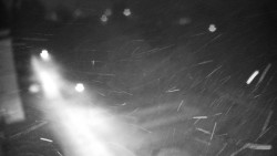 Příjezdová cesta k zámku