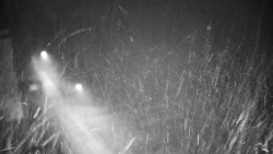 Příjezdová cesta k zámku