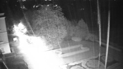 Příjezdová cesta k zámku