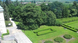 Obec Veselíčko - Příjezdová cesta k zámku - 6.6.2026 v 14:00 Obec Veselíčko - Příjezdová cesta k zámku - 6.6.2026 v 14:00