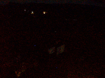 Snímek 5.11.2025 v 02:49