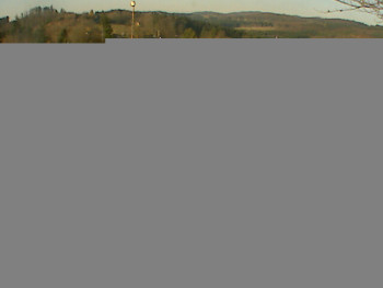 Snímek 7.11.2025 v 08:30