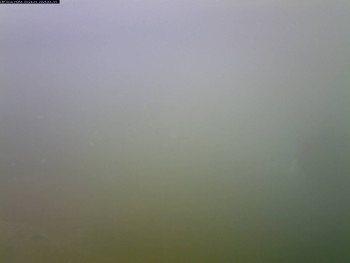 Snímek 15.11.2025 v 09:30