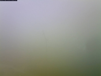 Snímek 16.11.2025 v 08:00