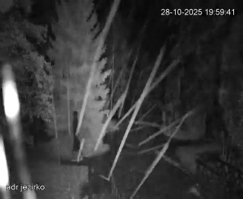 Snímek    28.10.2025 v 20:00