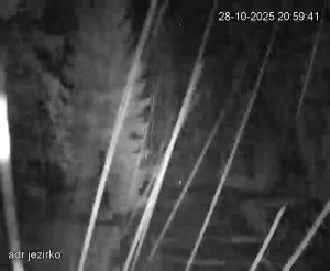 Adršpach - Vstup do skal, Pískovna - 28.10.2025 v 21:00 Adršpach - Vstup do skal, Pískovna - 28.10.2025 v 21:00