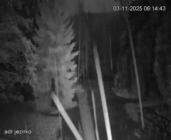 Snímek    3.11.2025 v 06:15