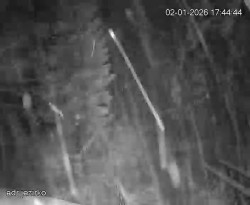 Vstup do skal, Pískovna