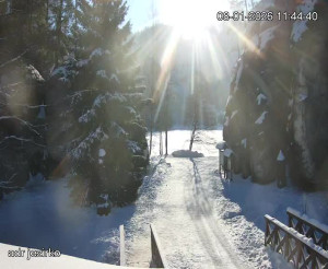 Adršpach - Vstup do skal, Pískovna - 8.1.2026 v 11:45 Adršpach - Vstup do skal, Pískovna - 8.1.2026 v 11:45