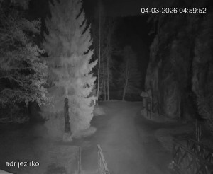 Adršpach - Vstup do skal, Pískovna - 4.3.2026 v 05:00 Adršpach - Vstup do skal, Pískovna - 4.3.2026 v 05:00
