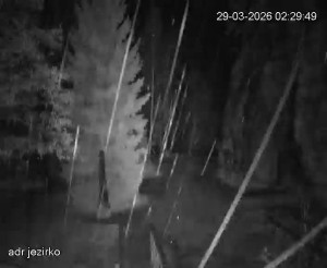 Adršpach - Vstup do skal, Pískovna - 29.3.2026 v 03:30 Adršpach - Vstup do skal, Pískovna - 29.3.2026 v 03:30