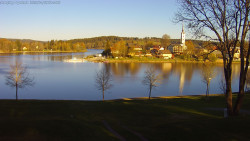 Frymburk