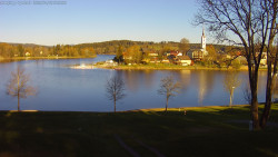 Frymburk