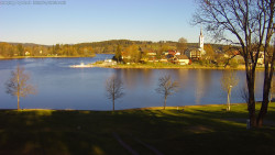 Frymburk