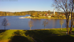 Frymburk