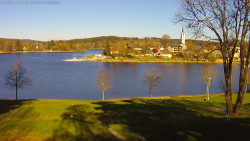 Frymburk