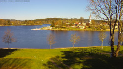 Frymburk