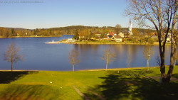 Frymburk