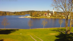 Frymburk