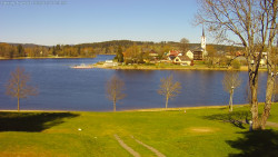 Frymburk
