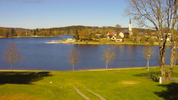 Frymburk