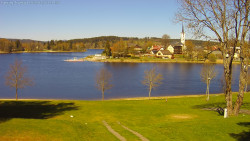 Frymburk
