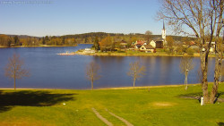 Frymburk