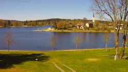 Frymburk