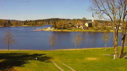 Frymburk