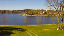 Frymburk