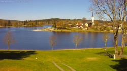Frymburk