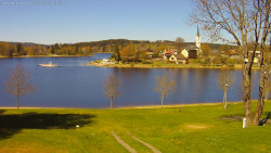 Frymburk
