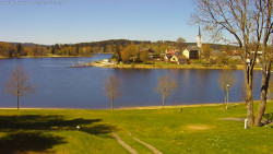 Frymburk