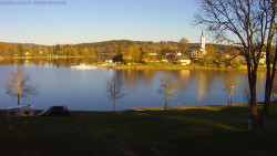 Frymburk