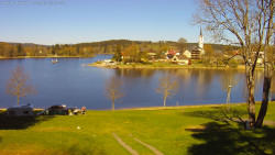Frymburk
