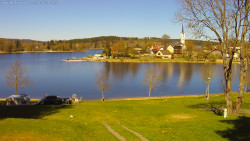 Frymburk