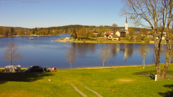 Frymburk