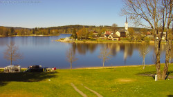 Frymburk