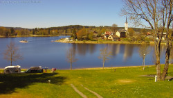 Frymburk