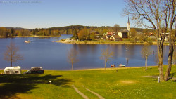 Frymburk