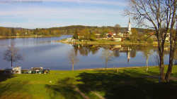 Frymburk