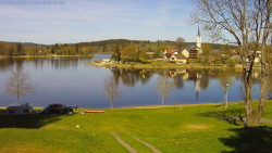 Frymburk